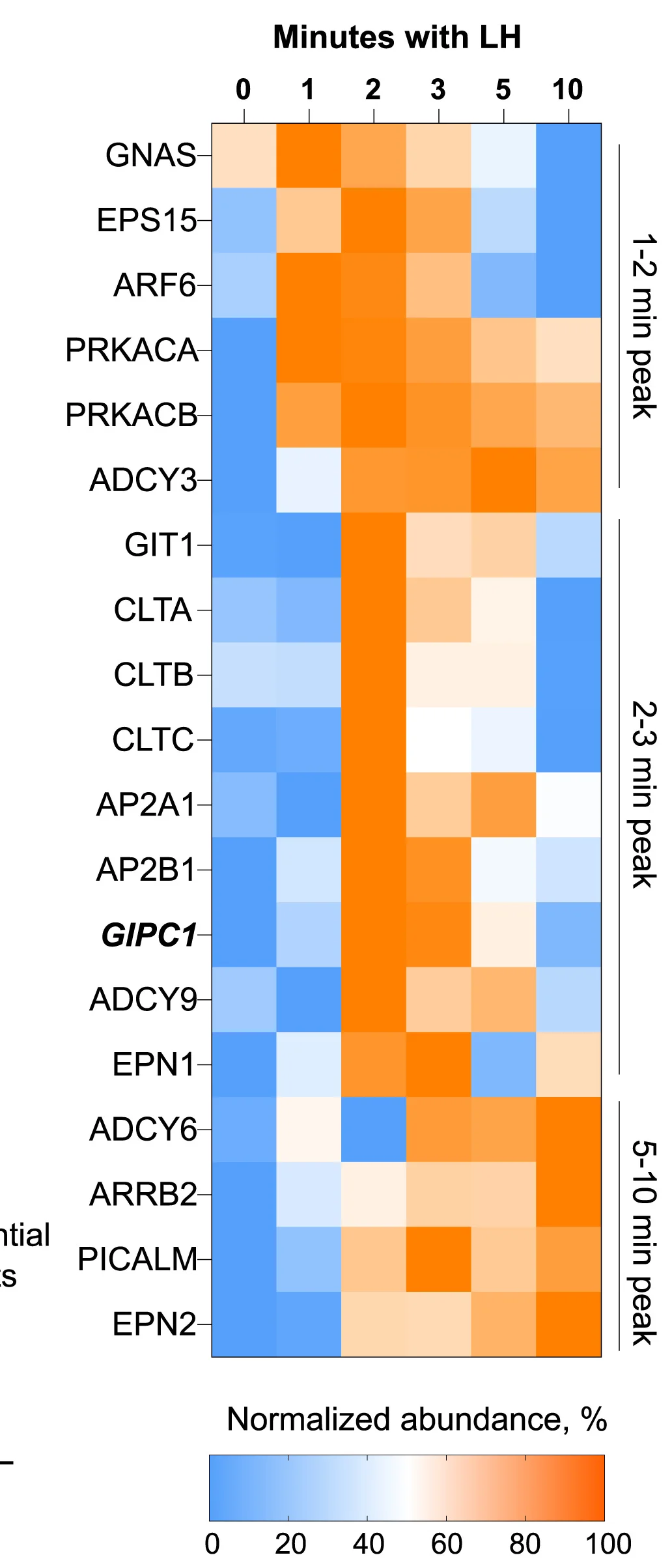 Open access visualization of Heatmap, Interaction Profiles, LHR Interactors, Protein Abundance, Log2 Fold Change