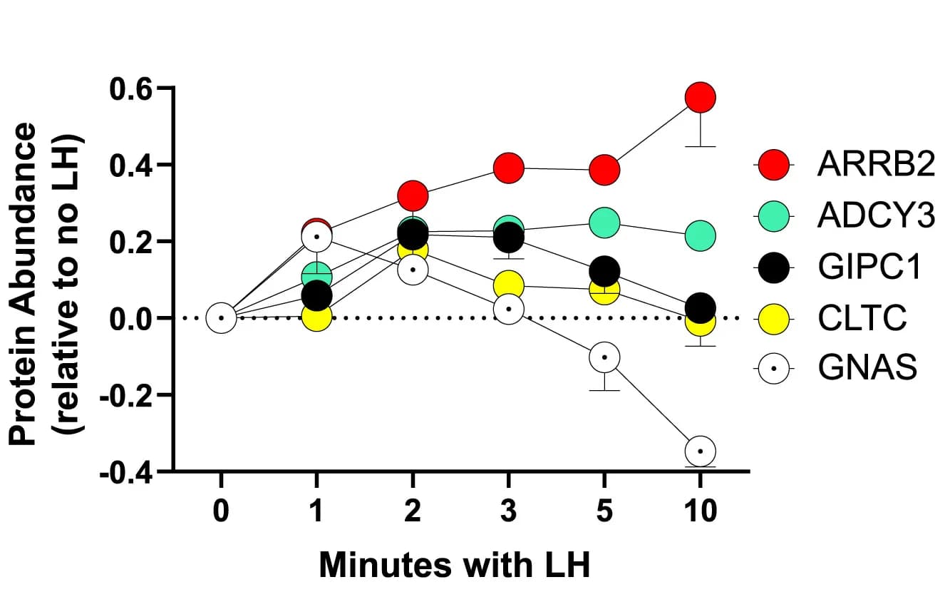Open access visualization of Line Plot, Error Bars, Temporal Profiles, LHR Interactors, Protein Abundance