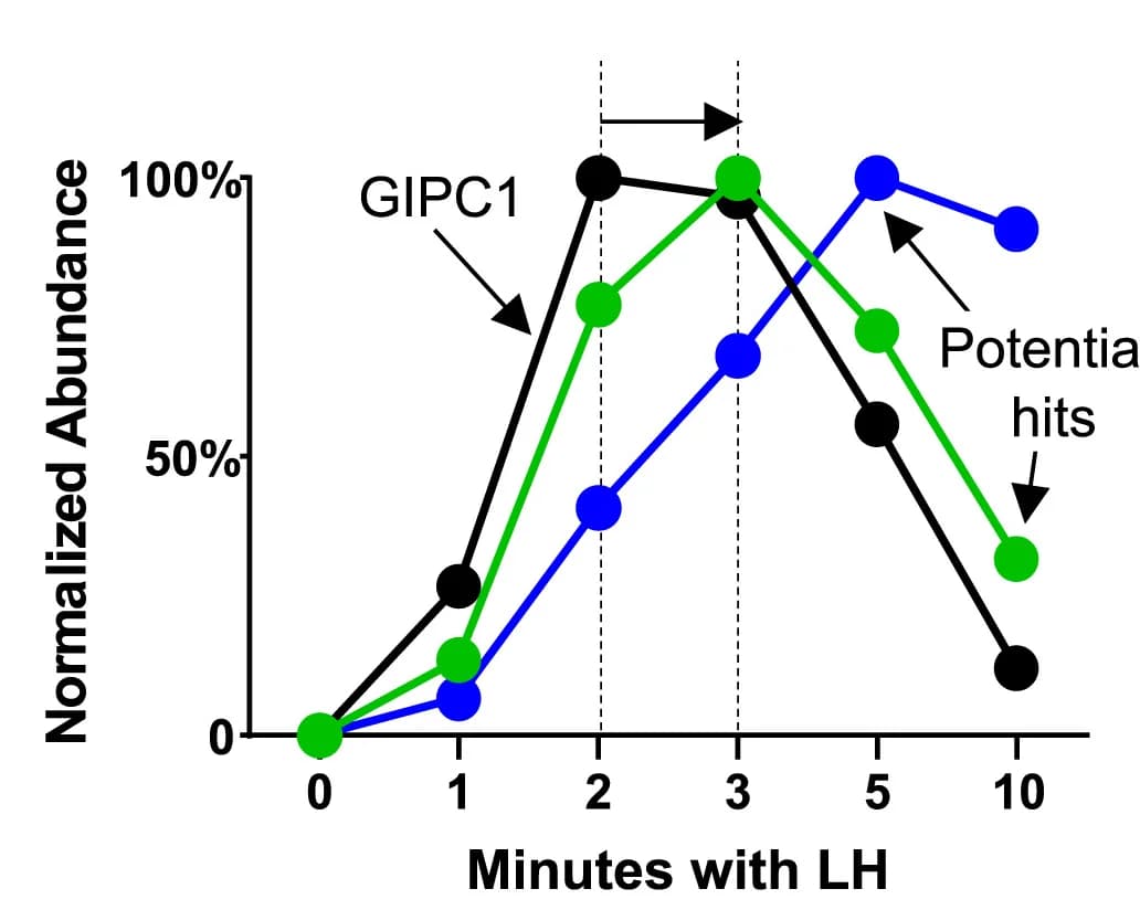 Open access visualization of Line Plot, VEE-related Hit Interactor, Temporal Profiles, GIPC1, LHR C-terminus