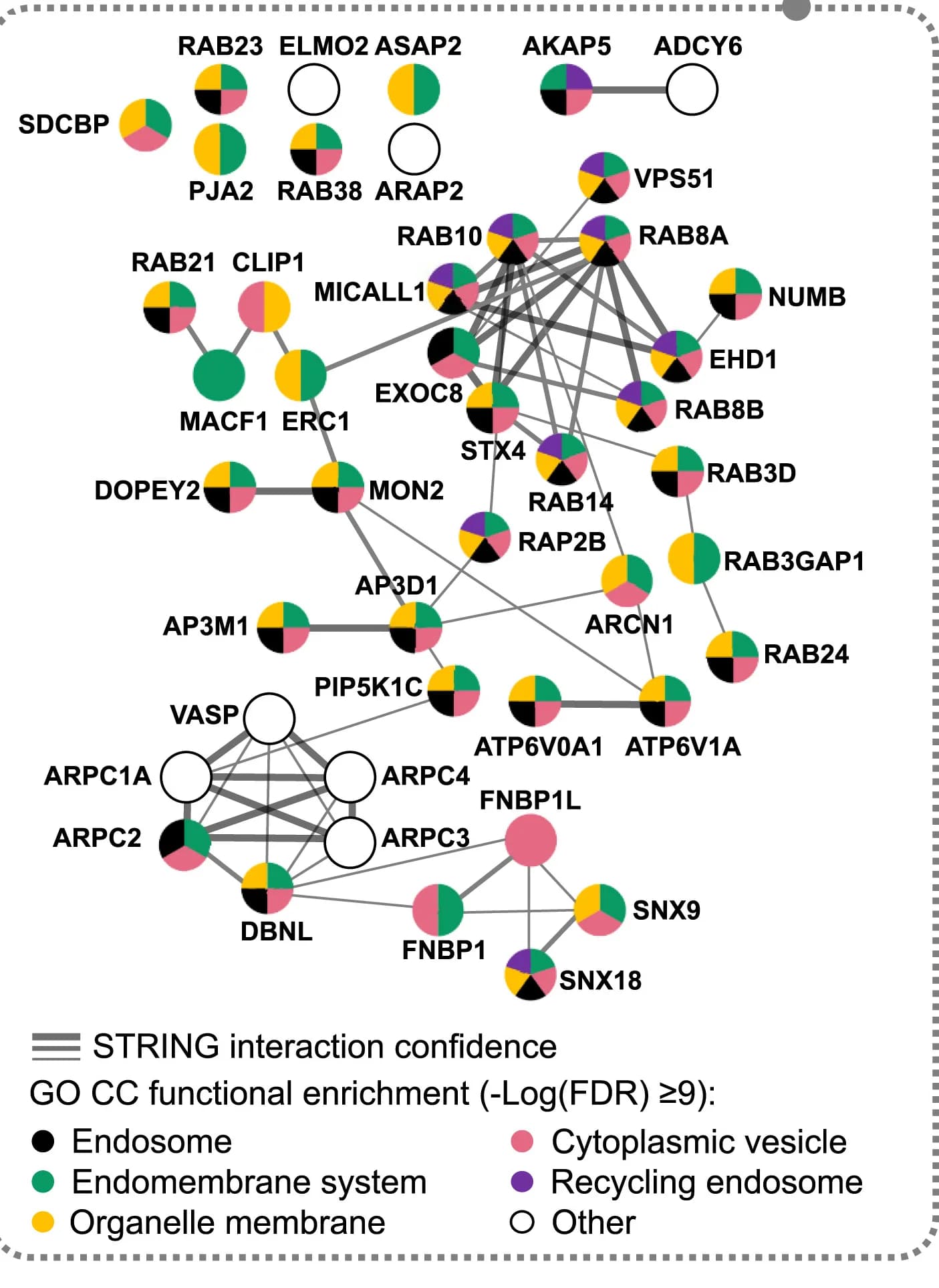 Open access visualization of Network, Pathway, Pie Chart, Donut Chart, Proteins