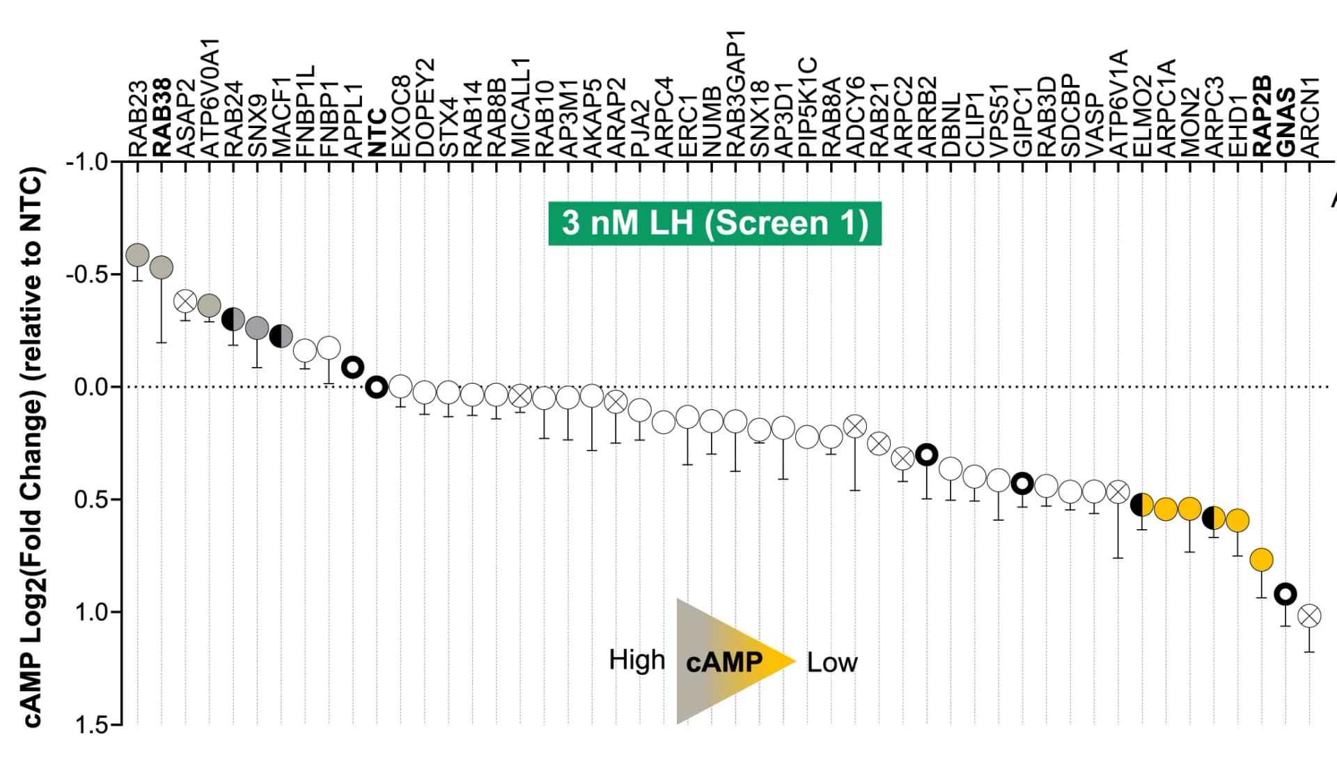 Open access visualization of Scatter Plot, Error Bars, FLAG-LHR HEK293 Stable Cells, siRNA Library, LH Stimulation