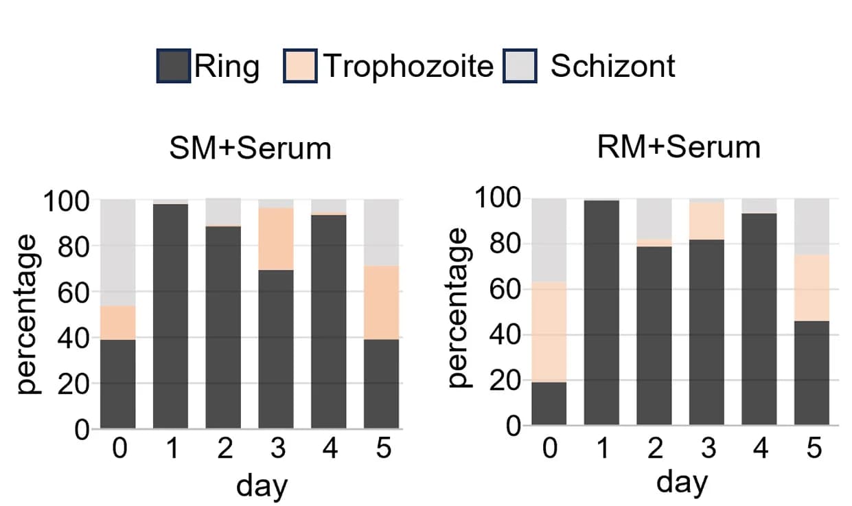 Open access visualization of Stacked Bar Plot, Parasite Stages, SM + Serum, RM + Serum
