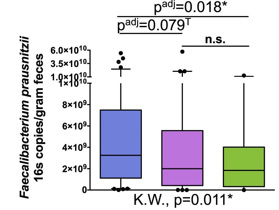 Open access visualization of Box Plot, Bacterial Quantitation, qPCR, F. prausnitzii, 16S rRNA Genes