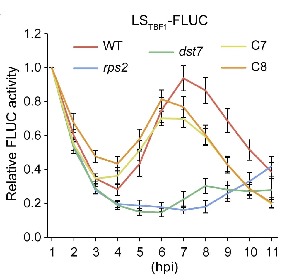 Open access visualization of Line Plot, Error Bars, ETI, Translation, dst7
