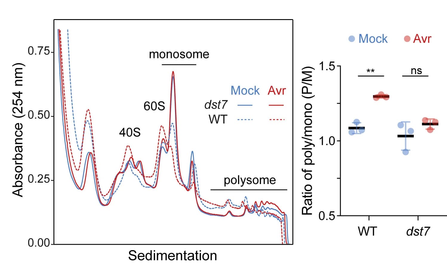 Open access visualization of Line Plot, Scatter Plot, Error Bars, Polysome Profiling, WT