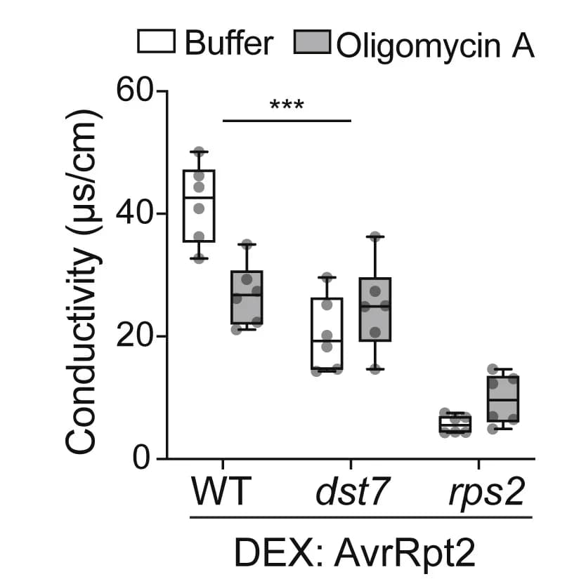 Open access visualization of Box Plot, Scatter Plot, Oligomycin A, ETI Cell Death, Conductivity Assay