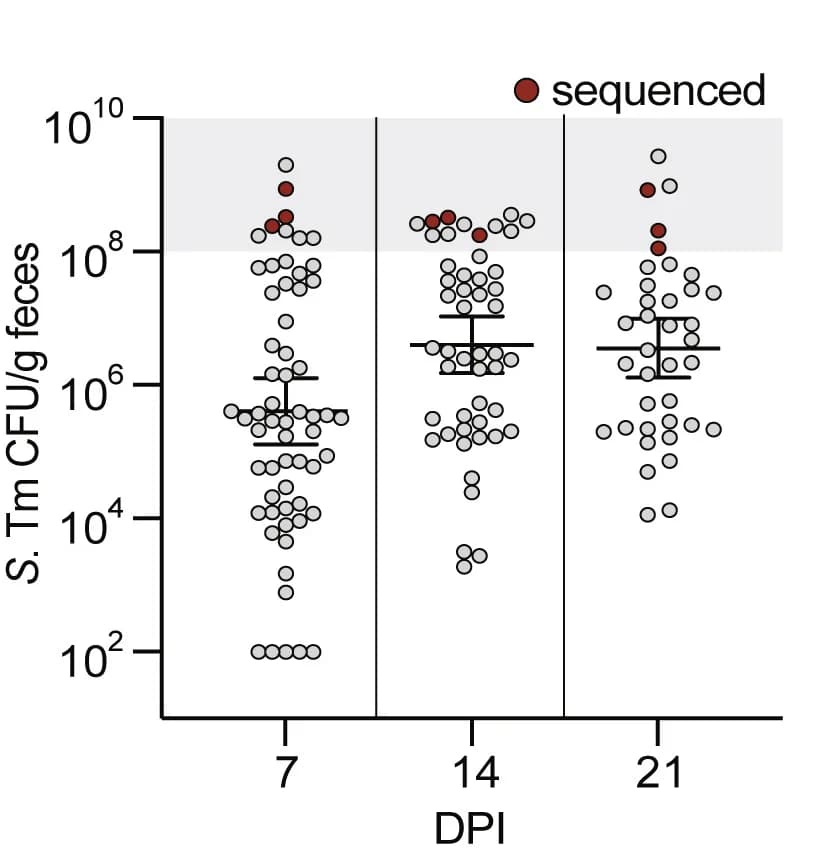 Open access visualization of Scatter Plot, Mice, Infection, RNA-seq, Shedding
