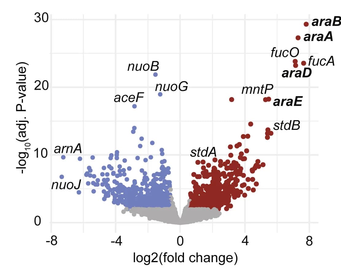 Open access visualization of Volcano Plot, Differentially expressed genes, In vitro, In vivo