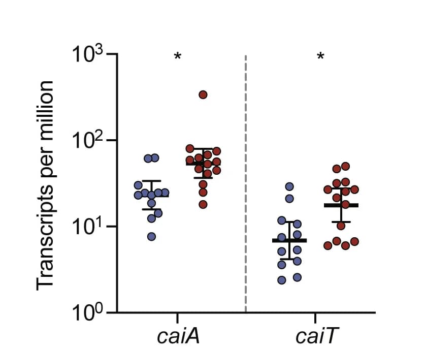 Open access visualization of Scatter Plot, Error Bars, Transcripts per million, In vitro, In vivo