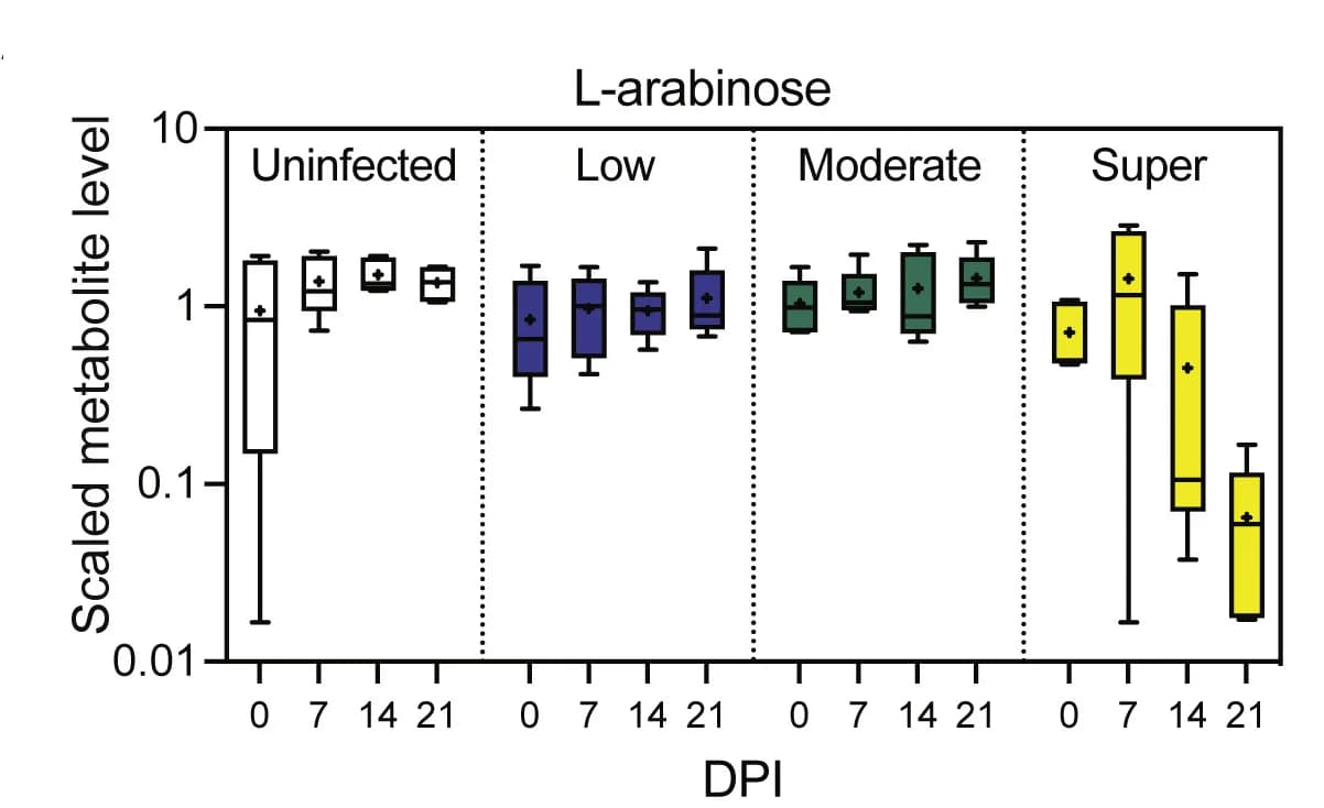 Open access visualization of Box Plot, L-arabinose, Stool, Uninfected Mice, Infected Mice