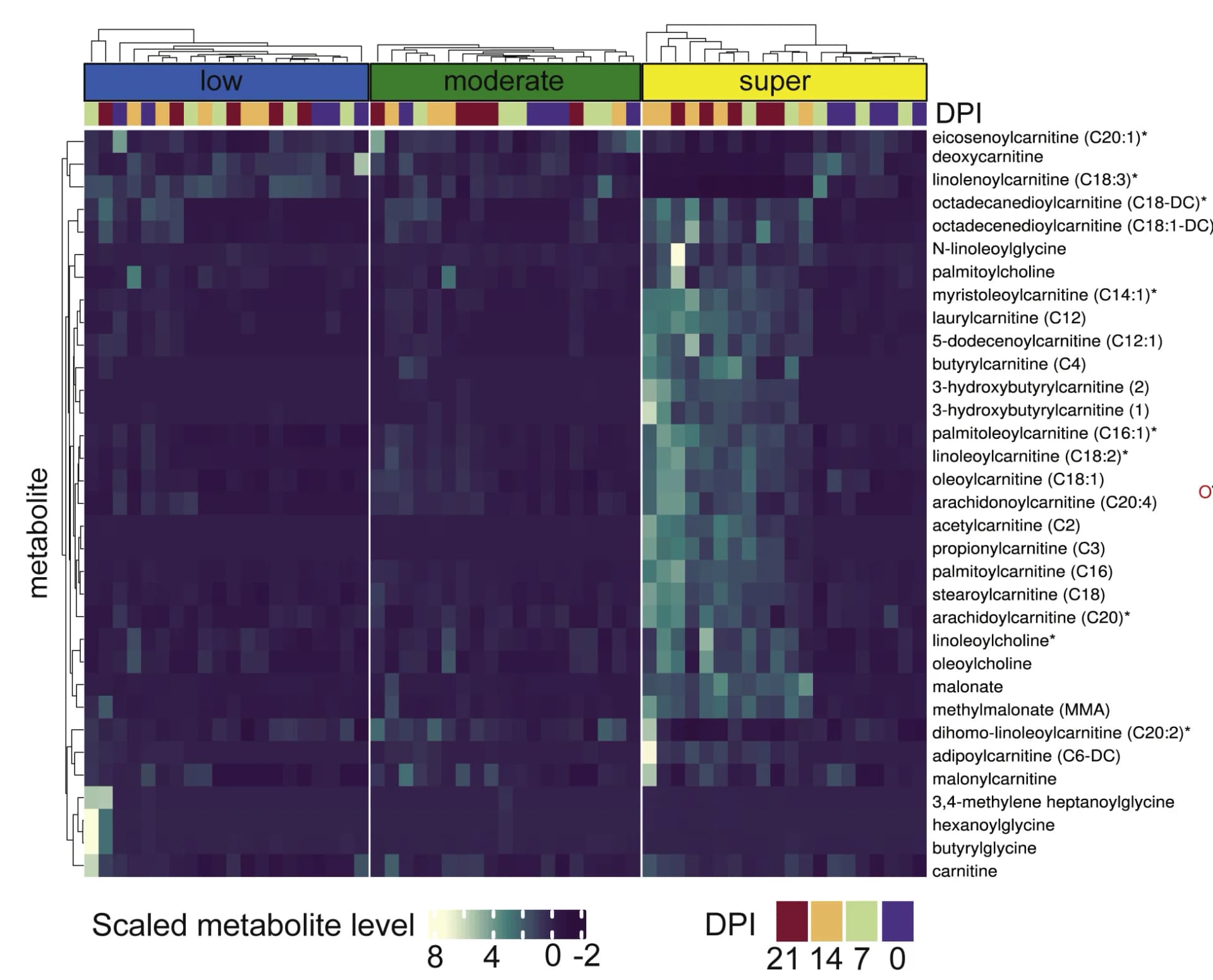 Open access visualization of Heatmap, Clustered, Metabolites, Carnitine Metabolism, Shedding