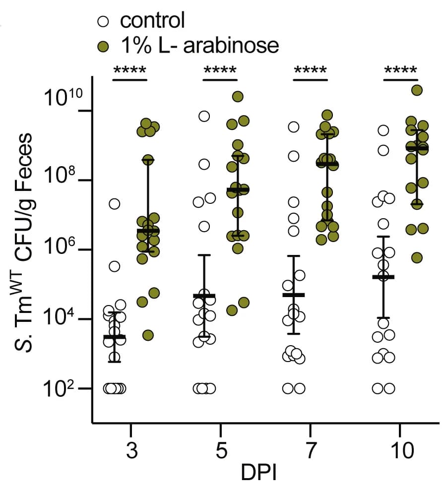 Open access visualization of Scatter Plot, Error Bars, Mice, S. TmWT(SL1344), CFU/g feces