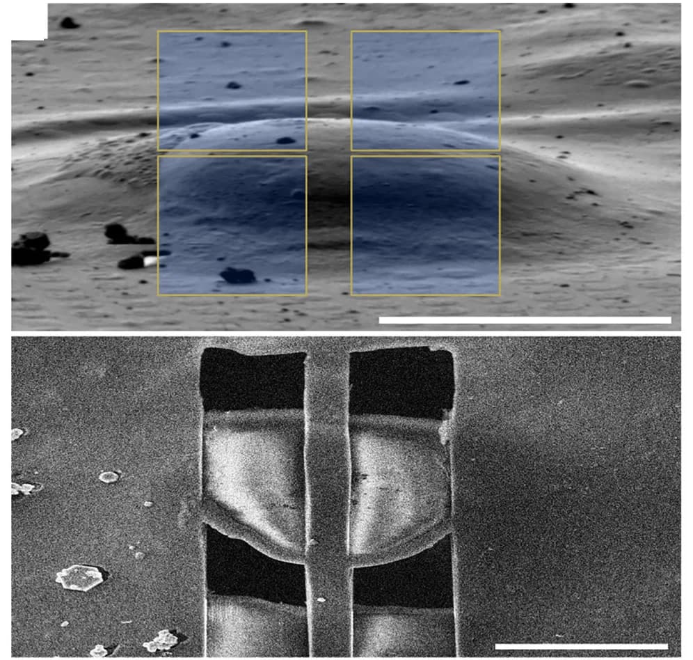 Open access visualization of Microscopy, SEM Image, MA104 Cell, Rotavirus, Milling