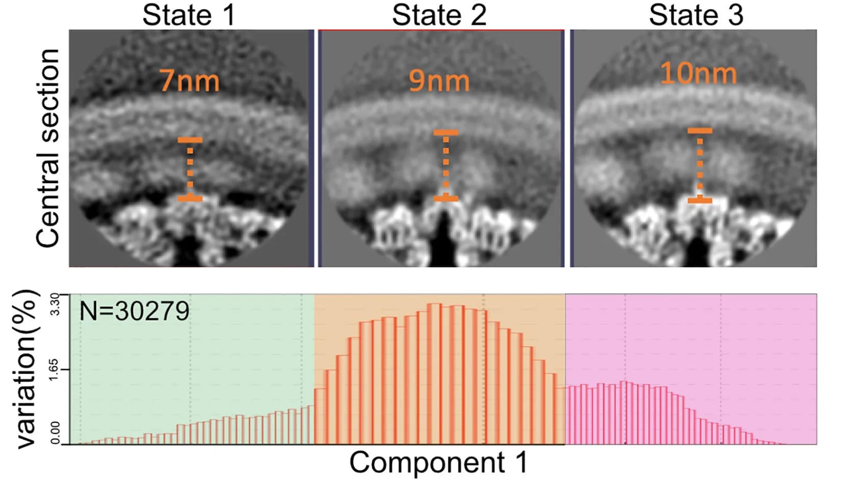 Open access visualization of Histogram, Microscopy, Flexibility Analysis, Pre-mature Spike, Densities