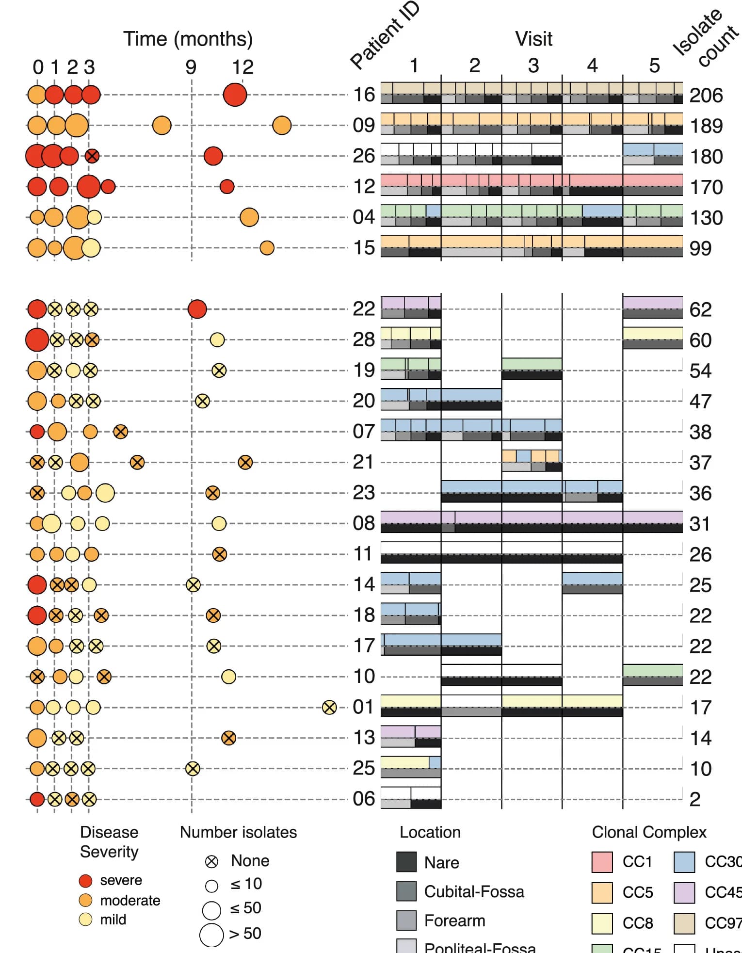 Open access visualization of Scatter Plot, Bar Plot, Clustered, Sampling Time, Disease Severity