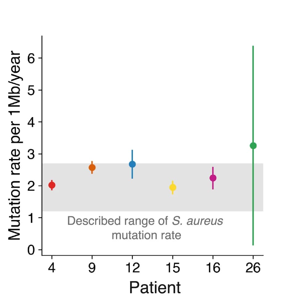Open access visualization of Line Plot, Error Bars, Molecular Clock Rate, Isolates, Confidence Intervals