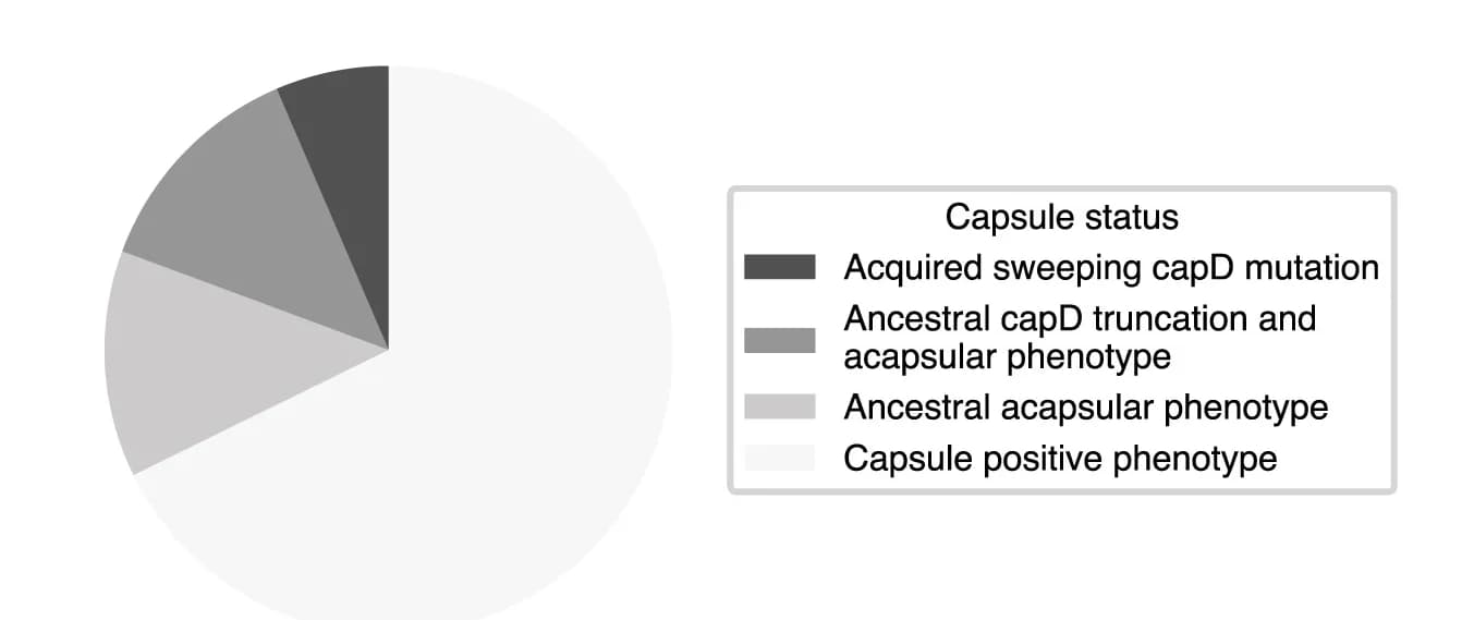 Open access visualization of Pie Chart, Capsule Status, Lineages, Mutation, S. aureus