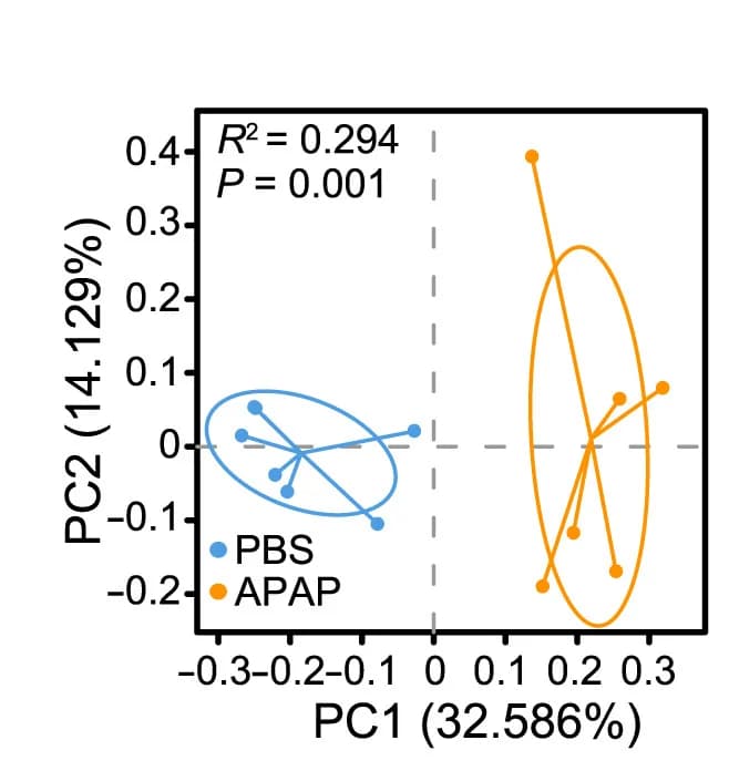 Open access visualization of Scatter Plot, PCA, PCoA plot, Bray-Curtis dissimilarity, Mice