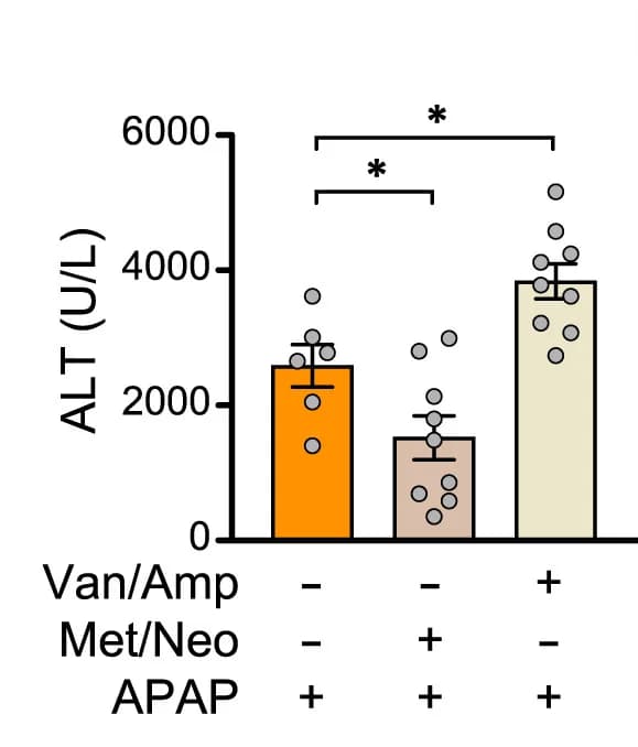 Open access visualization of Bar Plot, Scatter Plot, Error Bars, ALT plasma activity, APAP-treated mice