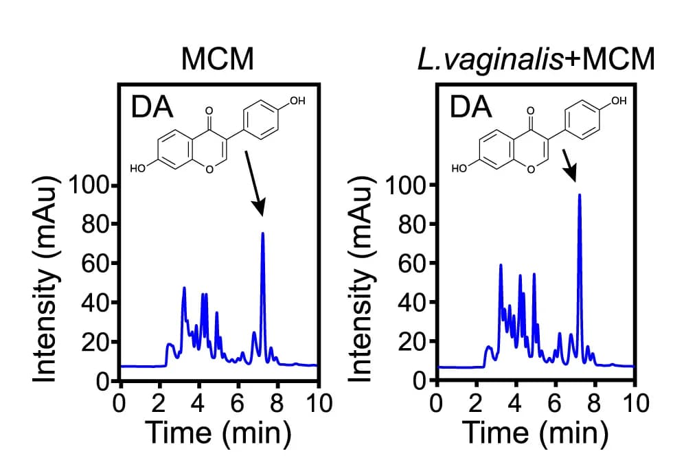 Open access visualization of Line Plot, Daidzein, Mouse Chow, L. vaginalis, HPLC