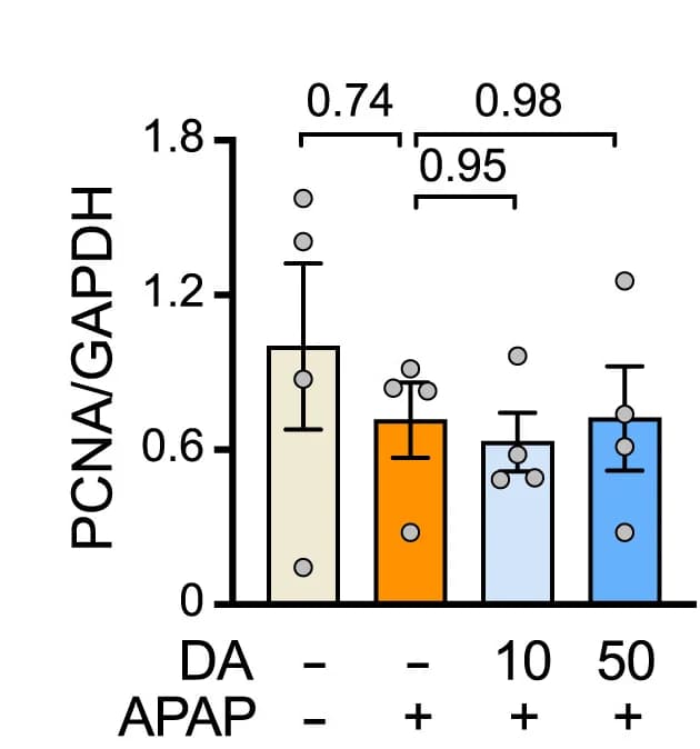 Open access visualization of Bar Plot, Error Bars, PCNA, Liver, Mice