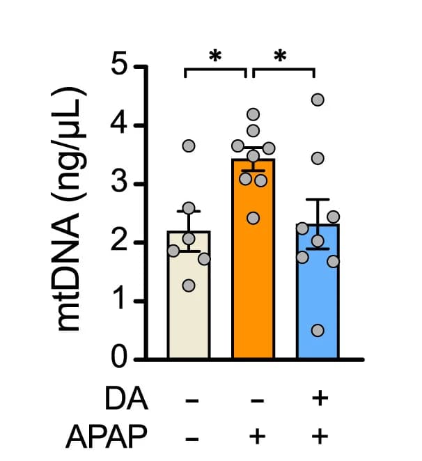 Open access visualization of Bar Plot, Error Bars, mtDNA, Blood, Mice