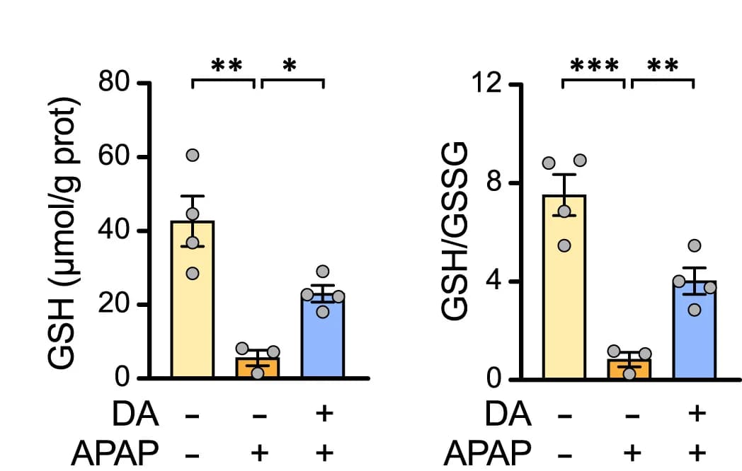 Open access visualization of Bar Plot, Error Bars, Scatter Plot, Reduced GSH, GSH/GSSG ratio