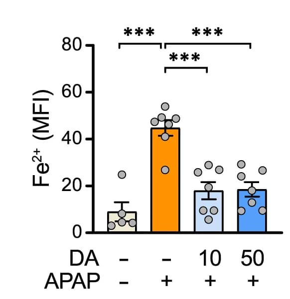 Open access visualization of Bar Plot, Error Bars, Scatter Plot, Fe2+, FerroOrange