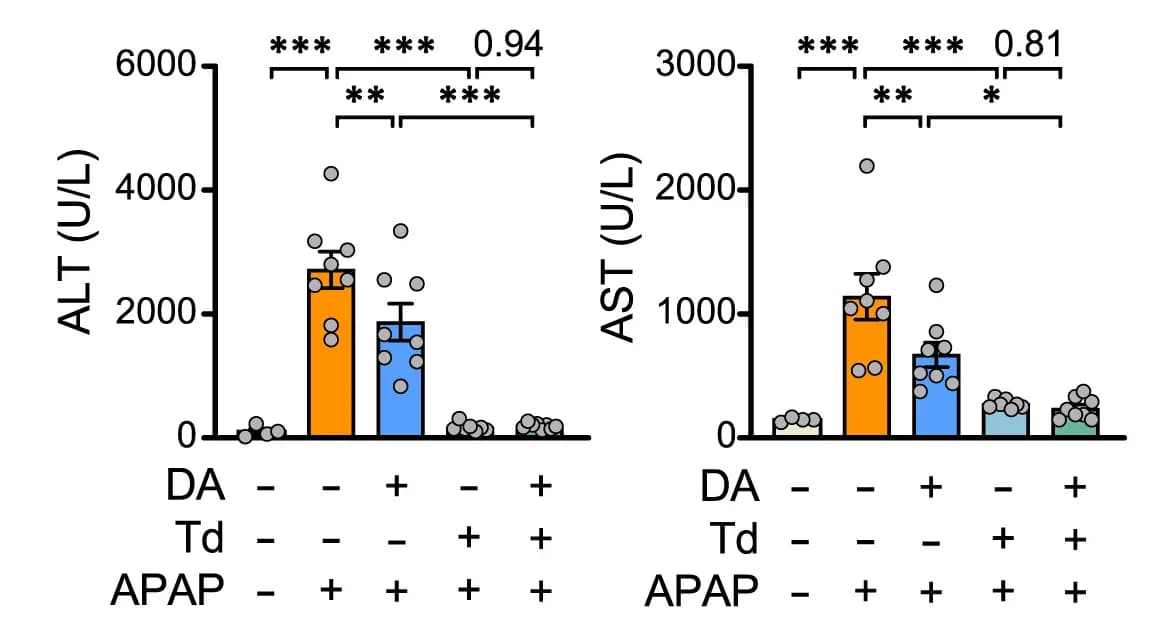 Open access visualization of Bar Plot, Error Bars, Scatter Plot, ALT, AST