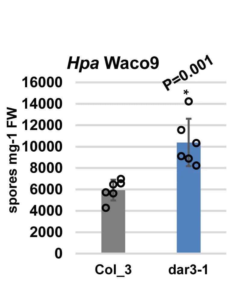 Open access visualization of Bar Plot, Error Bars, Scatter Plot, dar3-1 mutant, Col-3