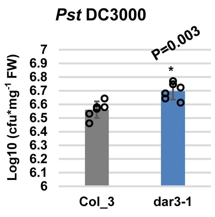 Open access visualization of Bar Plot, Error Bars, PstDC3000, Arabidopsis, Ws-2