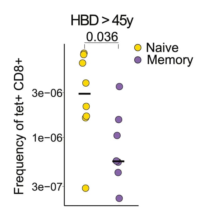 Open access visualization of Scatter Plot, Naive T Cells, Memory T Cells, Tetramer+CD8+ T Cells, HBDs