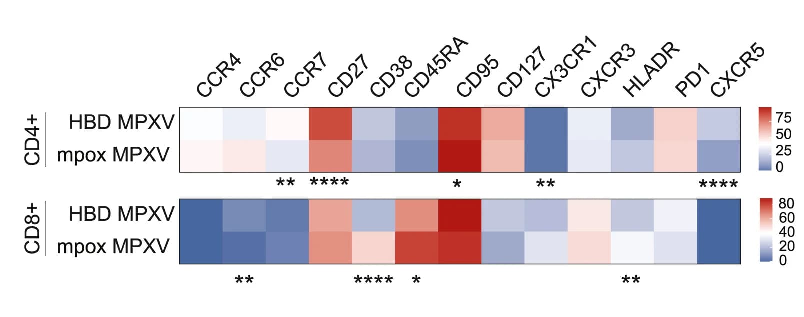 Open access visualization of Heatmap, Marker expression level, MPXV-reactive CD4+ T cells, MPXV-reactive CD8+ T cells, HBDs