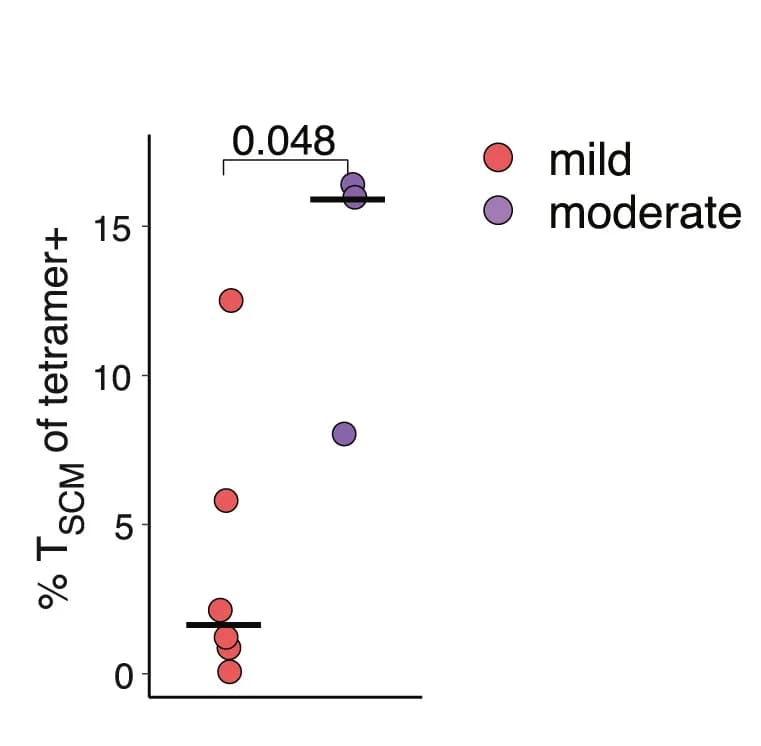 Open access visualization of Scatter Plot, Frequency, MPXV-specific TSCM Cells, Tetramers, Mild Mpox