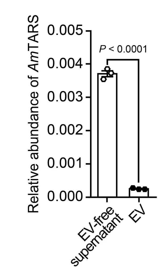 Open access visualization of Bar Plot, Error Bars, AmTARS, Extracellular Vesicles, EVs