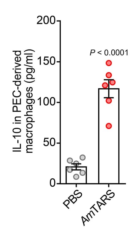 Open access visualization of Bar Plot, Error Bars, Scatter Plot, IL-10, Macrophages