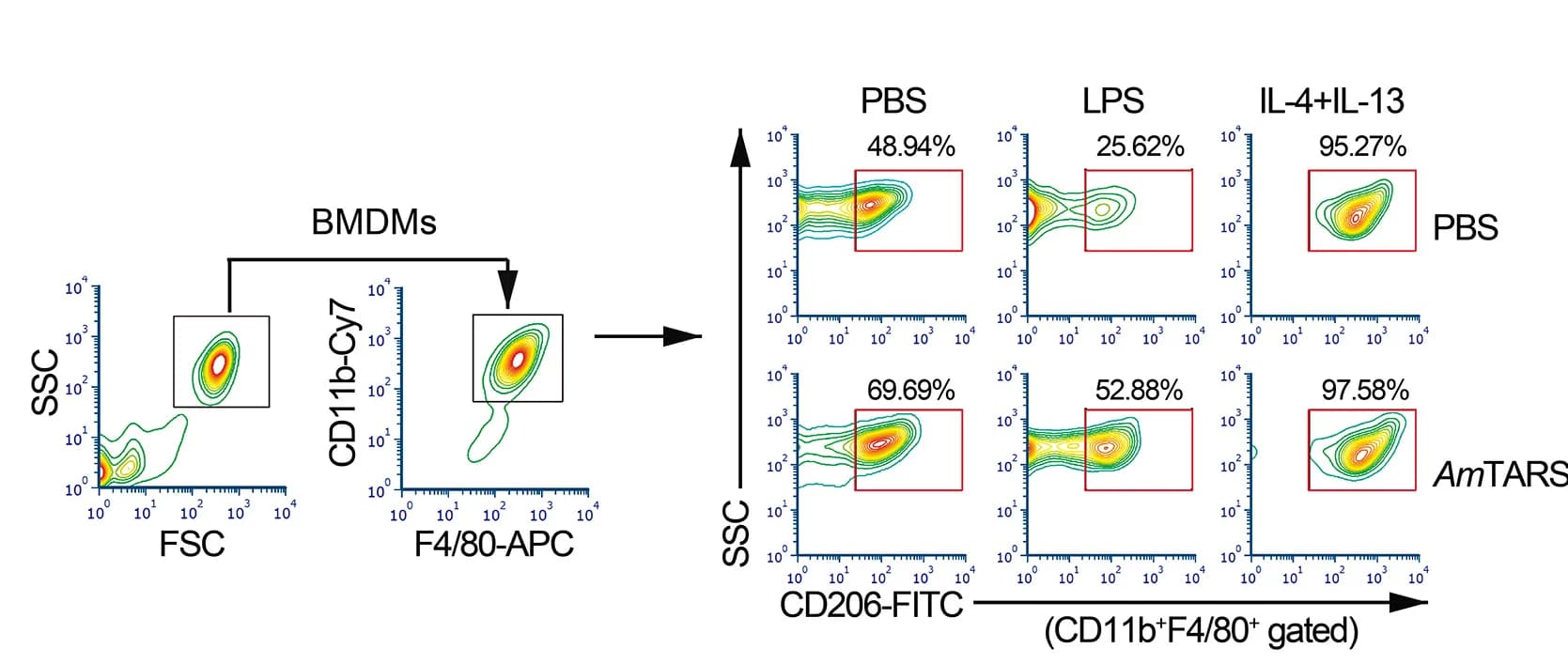 Open access visualization of Scatter Plot, Flow Cytometry, CD206+ Cells, BMDMs