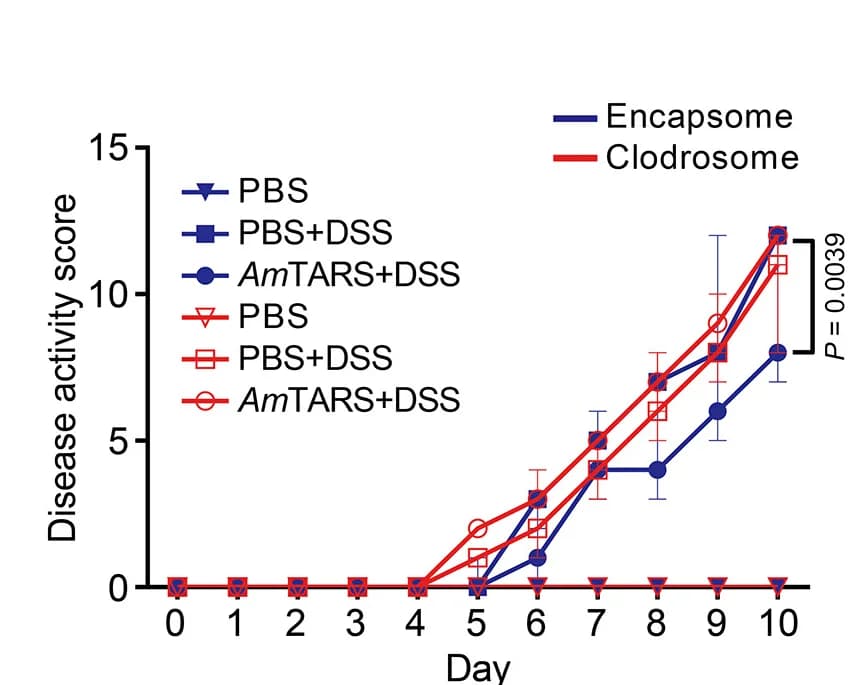 Open access visualization of Line Plot, Error Bars, Macrophages, Disease Activity Score