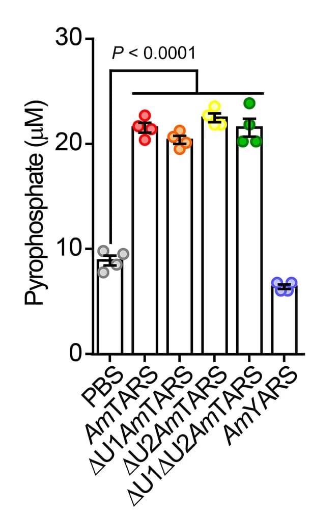 Open access visualization of Bar Plot, Error Bars, Amino-acylation Activity Assay, Mutants, Negative Control