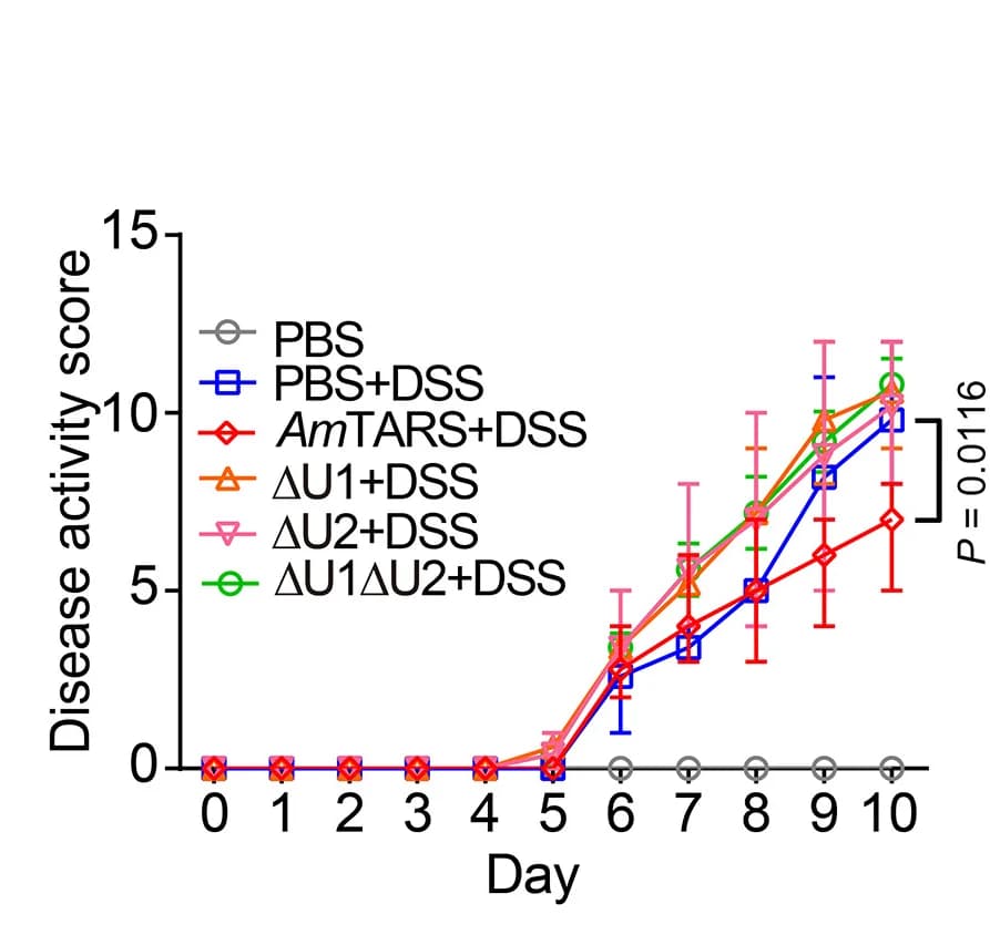 Open access visualization of Line Plot, Error Bars, DSS-induced Colitis, Mice, Disease Activity Score