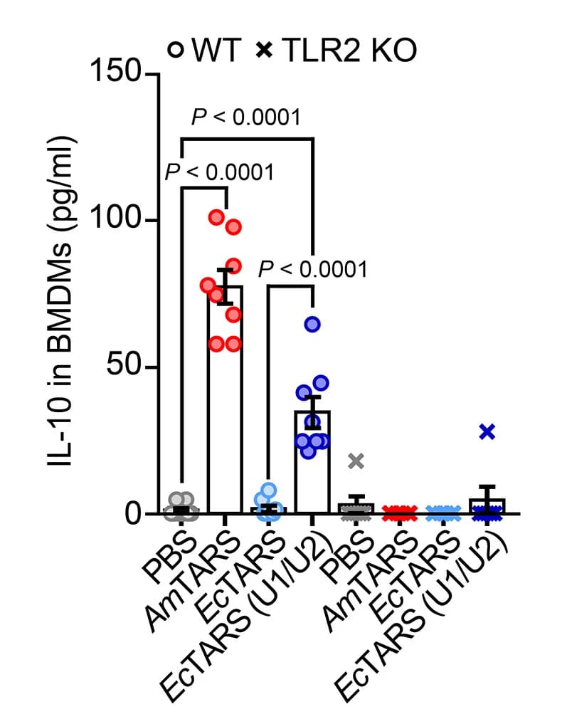 Open access visualization of Bar Plot, Scatter Plot, Error Bars, Anti-Inflammatory Function, TLR2-Dependent Manner