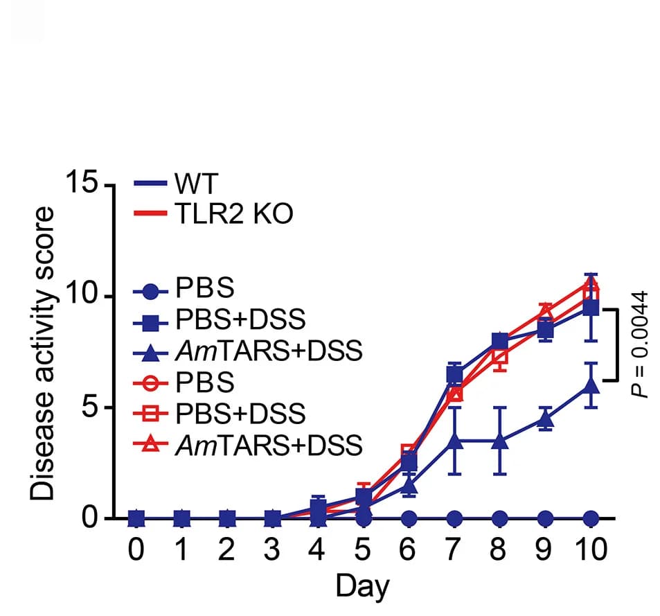 Open access visualization of Line Plot, Error Bars, TLR2-Dependent Function, In Vivo, WT Mice