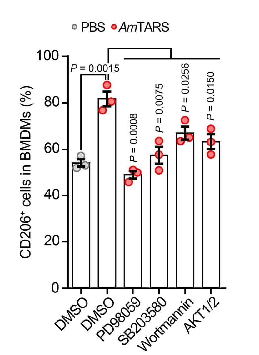 Open access visualization of Bar Plot, Error Bars, Scatter Plot, Flow Cytometry, M2 Macrophages