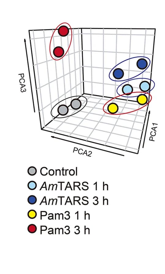 Open access visualization of Scatter Plot, PCA, Gene Expression, Hierarchical Clustering, RNA Sequencing