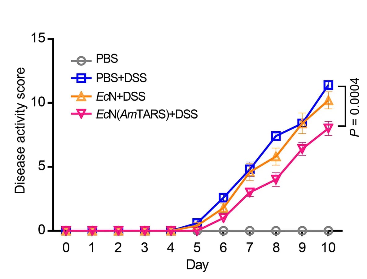 Open access visualization of Line Plot, Error Bars, DSS-induced Colitis, EcN, AmTARS