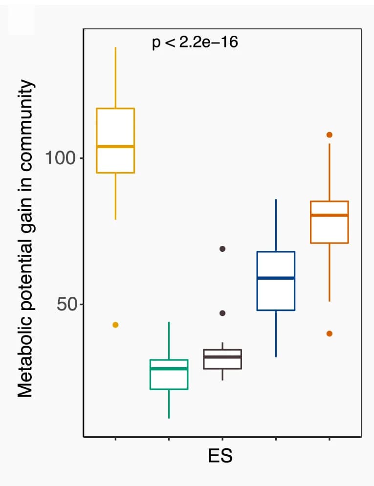 Open access visualization of Box Plot, Metabolic Gain, Metagenomic Species, Cellular Metabolism, Enterosignature