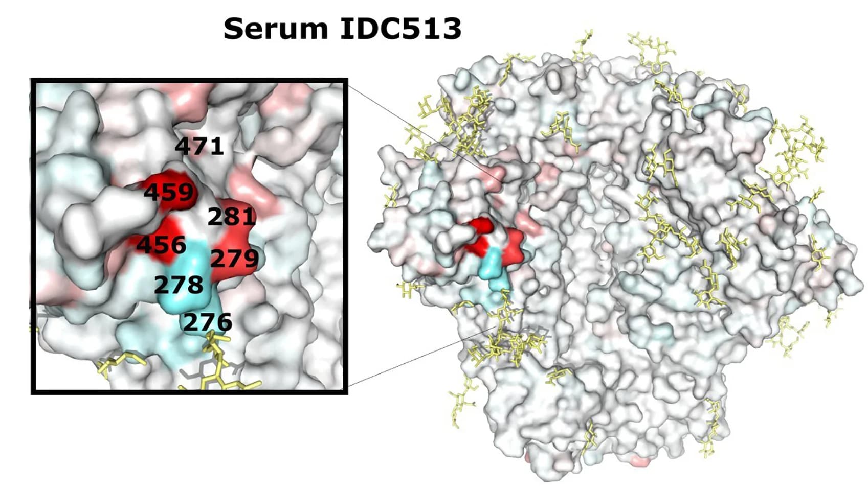 Open access visualization of Protein Structure, IDC513, Structure