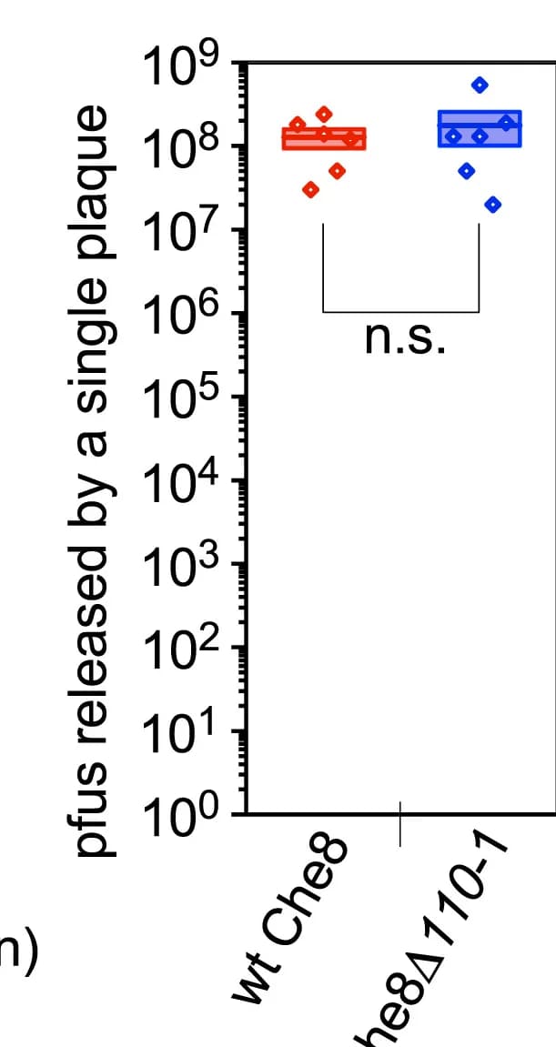 Open access visualization of Box Plot, Scatter Plot, Fecundity, Che8, Infectious particles