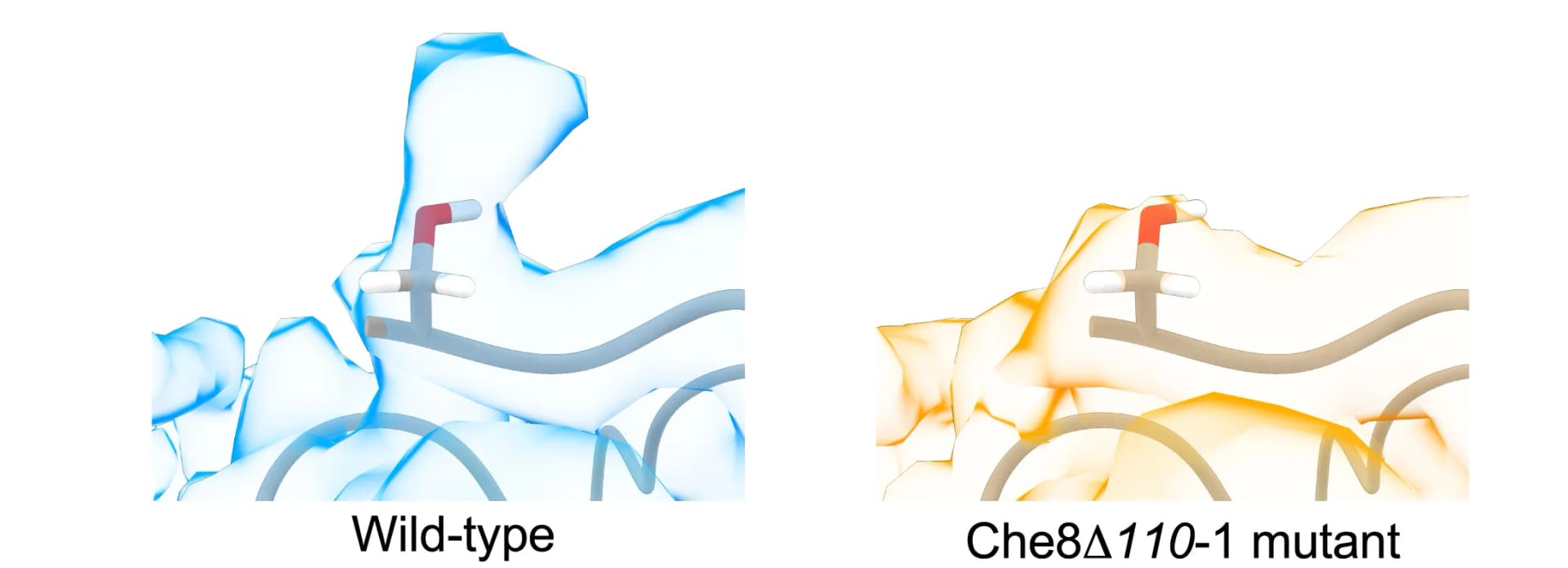 Open access visualization of Protein Structure, 3D Plot, Capsid, Che8 110-1 Mutant, Glycosylation Site
