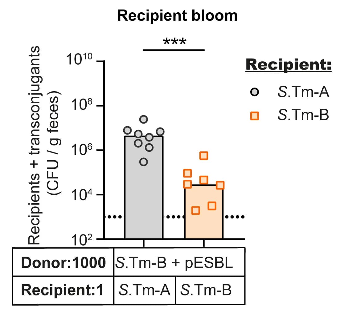 Open access visualization of Bar Plot, Scatter Plot, Recipients, Transconjugants, CFU